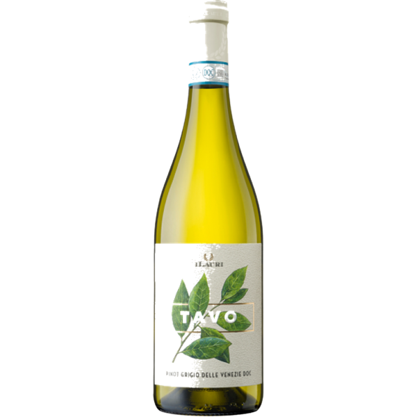 ILauri Tavo Pinot Grigio